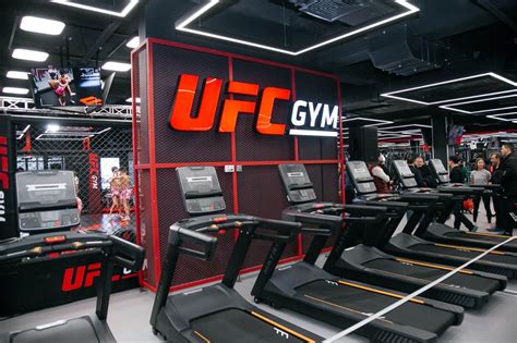 25 Best Boxing Gyms In The Usa Updated 2023