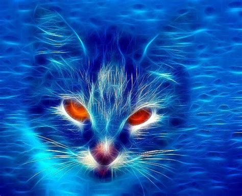 258 Best Fractal Art Cats Images On Pinterest Fractals Fractal Art And Fractal Images