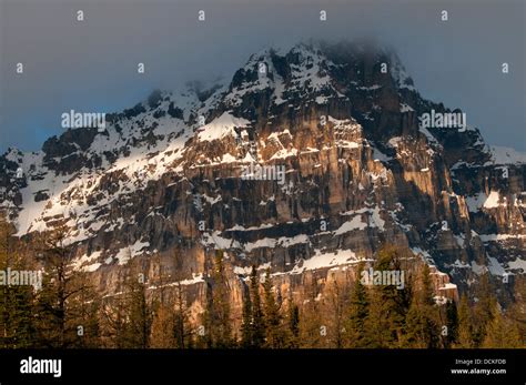 Wenkchemna Peaks From Larch Valley Banff National Park Alberta