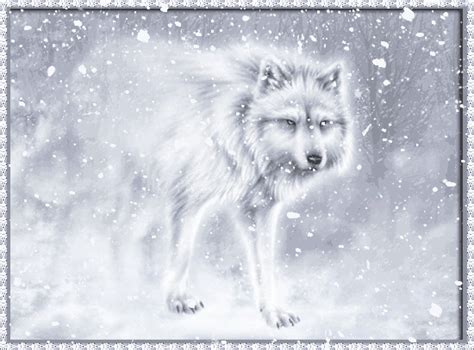 White Winter Wolf  Animation