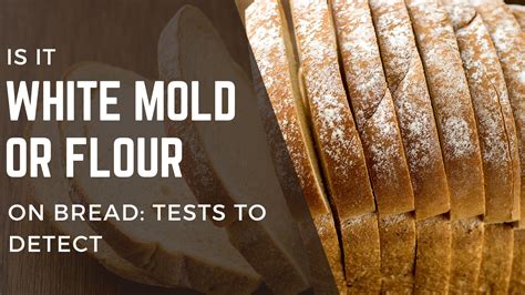 white mold or flour on bread tests to detect foodandkitchenappliances