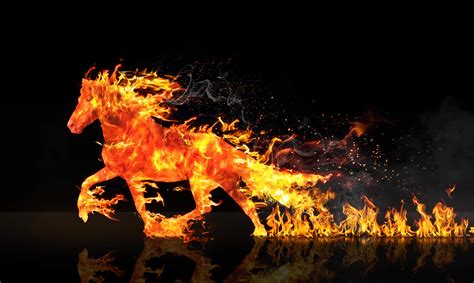 Galloping Fire Horse Hd Wallpaper Wallpaper Flare