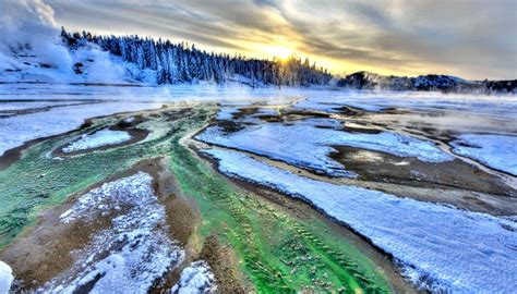 Winter In Yellowstone National Park What To Do And Where To Stay