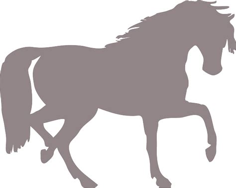 Horse Silhouette Isolated · Free Vector Graphic On Pixabay