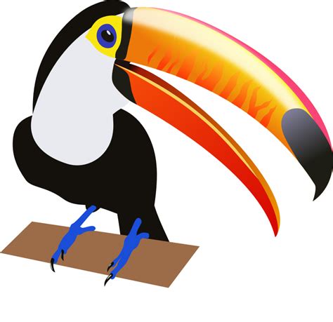 Toucan Clipart Clipart Best Clipart Best