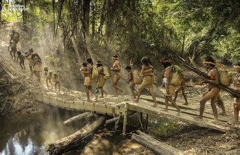 Inside The ‘uncontacted Amazon Tribe Threatened By Logging Mining