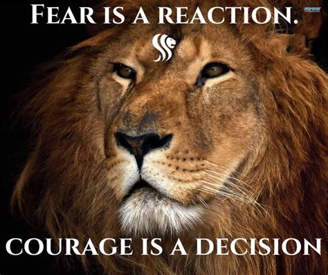 Lion Quote Courage Lion Quotes Lion Lioness Quotes