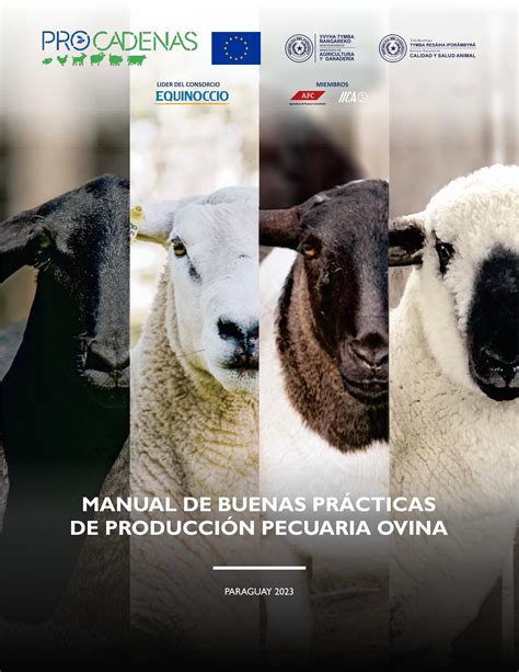Manual De Buenas Prácticas De Producción Pecuaria Ovina Paraguay By Milagros Gonzalez Issuu