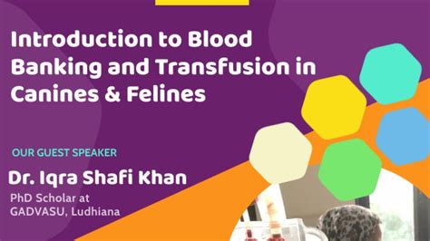 Webinar On Introduction To Blood Banking And Transfusion In Canines