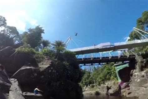 Video Daring Man Jumps 20m From Bridge Into Water Newshub