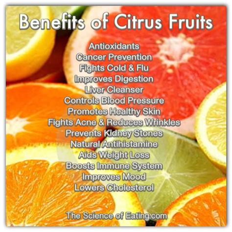 Benefits If Citrus Fruits Natural Antihistamine Nutrition Dark