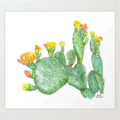Prickly Pear Cactus Watercolor Art Print By Susan Windsor Society6