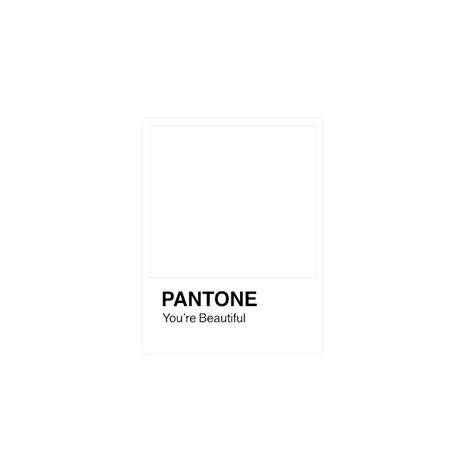 Pantone Png 20 Free Cliparts Download Images On Clipground 2023