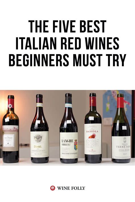 The Five Best Italian Red Wines Beginners Must Try Wine Folly Wines