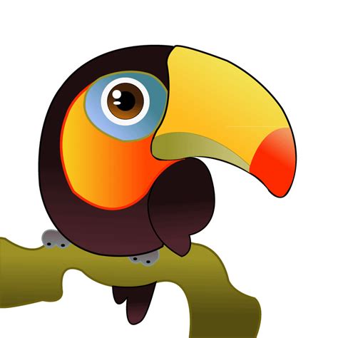 Toucan Vector Clipart Best