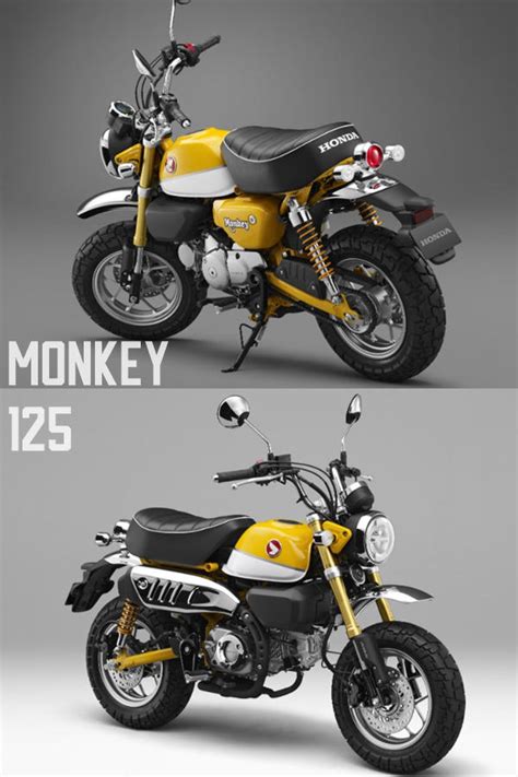 It's a 125cc bundle of smiles, but it's also a practical way to get around town, or to scoot around once you've parked a bigger rig. 2019 Honda Monkey 125 (Std., Scrambler & Cafe) revealed ...