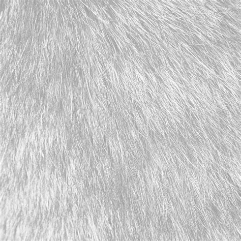 32 White Fur Wallpaper Wallpapersafari