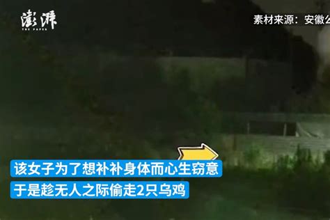 宣城：女子偷乌鸡补身体 汤还没炖就被抓获 凤凰网视频 凤凰网