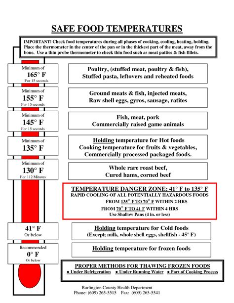 Safe Cooking Temperatures For Meat Scope Of Work Template Food