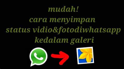 #1 download status whatsapp tanpa aplikasi. Cara simpan status whatsapp ke galeri tanpa aplikasi - YouTube