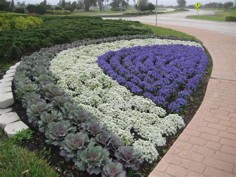 10 Pansy Flower Bed Designs