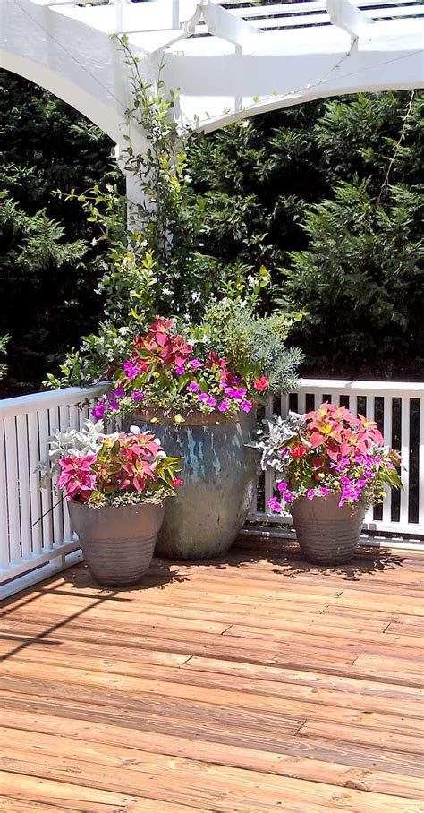 Deck With Container Garden Patio Container Gardening Potted Plants