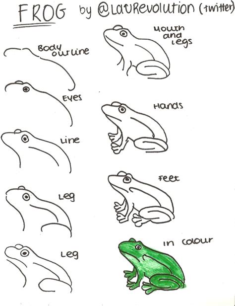 Simple Frog Drawing At Explore Collection Of