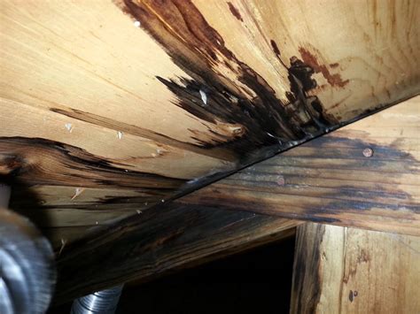 How To Find A Roof Leak In The Attic What Is The Best Way To Locate A House Roof Leak Zeo