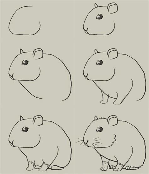 How To Draw A Mouse Easy Step By Step Learn To Draw And