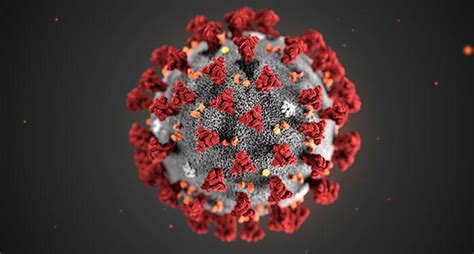 Saliva, slabber, slaver, slobber, drivel, spit, spittle, sputum. Awas Air Liur saat Bersin, Ini 7 Fakta Penyebaran Virus Corona