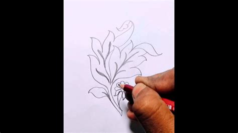 How To Draw A Leaves 🍁 Simpe Autumn Leaves Draw Autumn Drawing