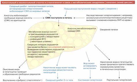 Диета при жировой дистрофии печени Жировой Гепатоз Печени Симптомы И Лечение Диета — Похудение Диета Жировой Гепатоз Печени Симптомы И Лечение Диета — Похудение Диета Диета при жировой дистрофии печени
