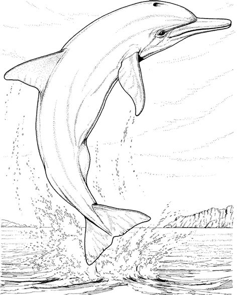 Dolphin Printable Coloring Pages Printable Templates