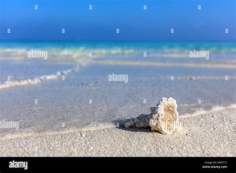 Coral Sandy Hi Res Stock Photography And Images Alamy