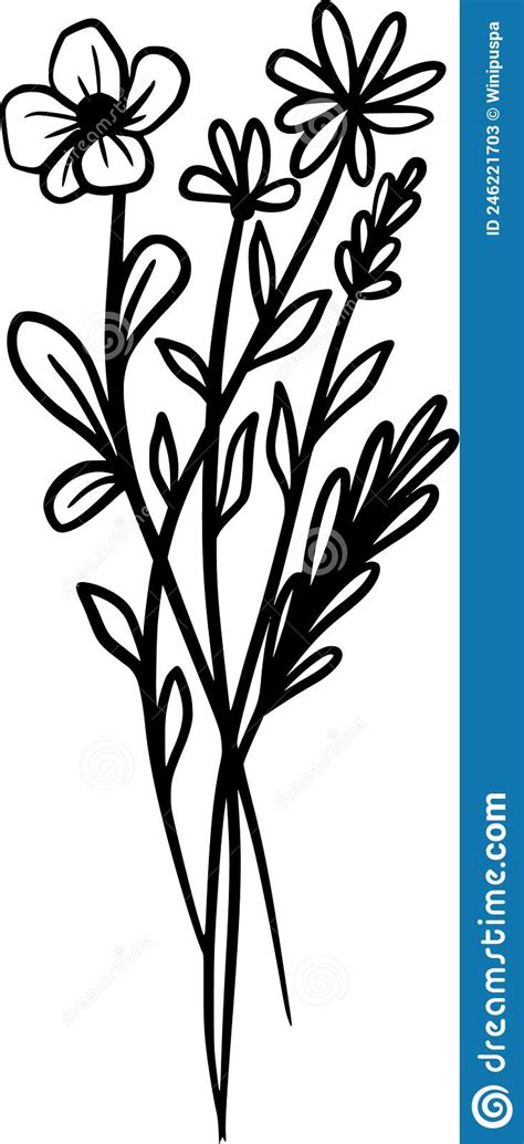 Wildflower Stock Vector Illustration Of Isolated Garden 246221703