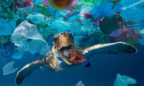 More Than 14m Tonnes Of Plastic Believed To Be At The Bottom Of The