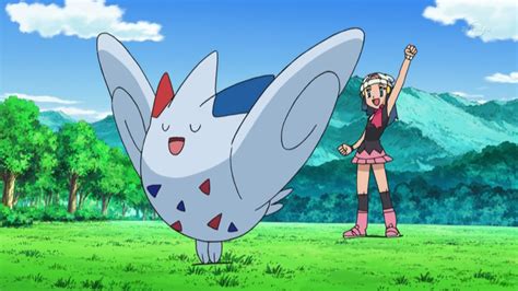 Togekiss Dawn Pokémon Wiki Fandom Powered By Wikia
