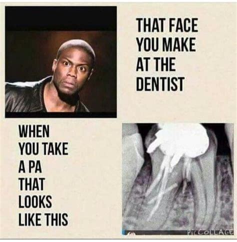 pin by christina allen on that s funny dental assistant humor dental jokes dental fun