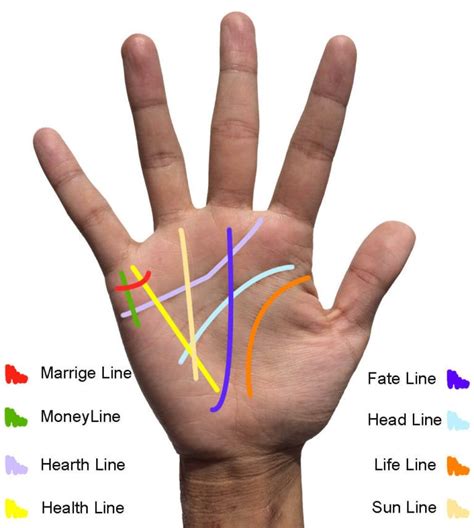 Palm Reading Life Line Palm Reading Lines Palm Reading Palm Reading