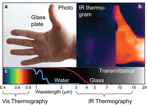 Visible Light And Infrared Ir Thermography Comparison Differences In