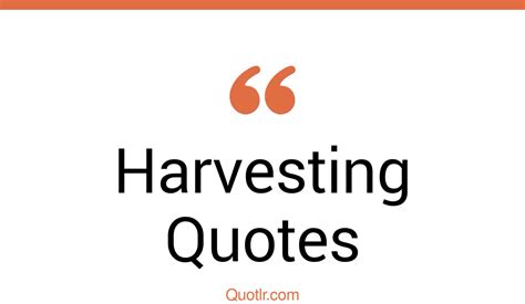 45 Delightful Harvesting Quotes What You Plant Is What You Harvest