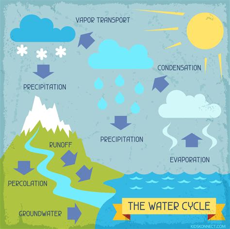 Water Cycle For Kids Driverlayer Search Engine