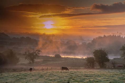 Sunrise In Ireland Photograph By John Greene Fine Art America