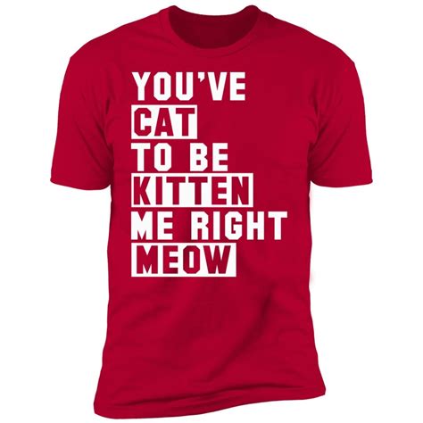 Funny Cat Shirt Cat Lover Shirt Cat Lover T Cute Cat Shirt Youve