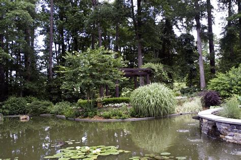 We are a family owned plant nursery, and locally grown greenhouse garden center in durham. Water Garden at Duke Gardens - Durham, NC | Water Garden ...