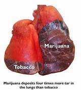 Effects Of Smoking Marijuana Photos
