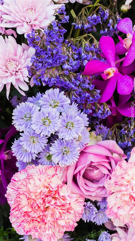 Kolorowe Kwiaty Tapeta Na Telefon