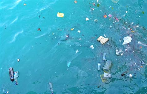 We Estimate Up To 14 Million Tonnes Of Microplastics Lie On The