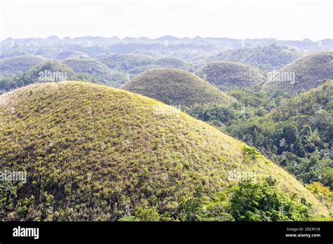 The Chocolate Hills Of Bohol In The Philippines Stock Photo Alamy