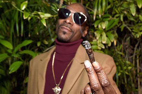 Snoop Dogg Smoking A Blunt California Weed Blog